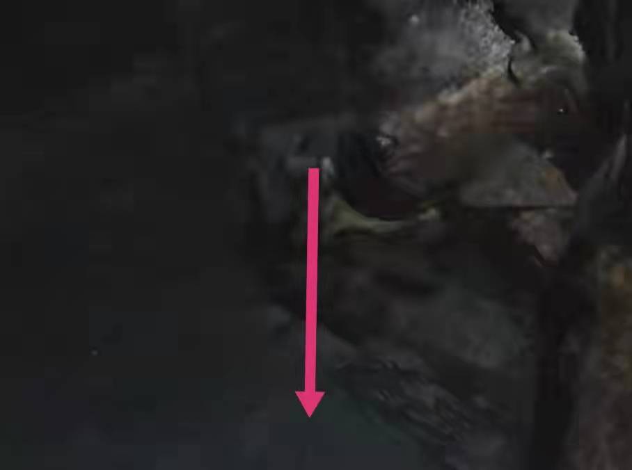 艾尔登法环龟派气功怎么获得?艾尔登法环龟派气功获得攻略