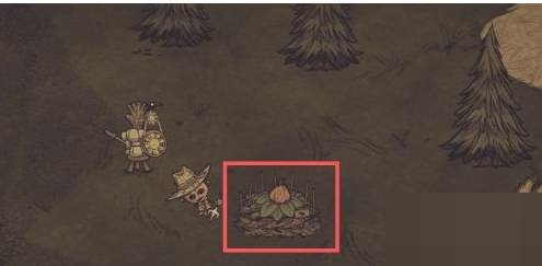 饥荒怎么种地?饥荒种地攻略