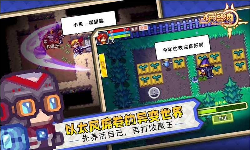 伊洛纳中长筒袜详细介绍