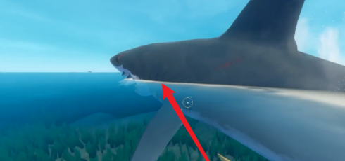 木筏求生中怎么杀鲨鱼？木筏求生杀鲨鱼的具体操作