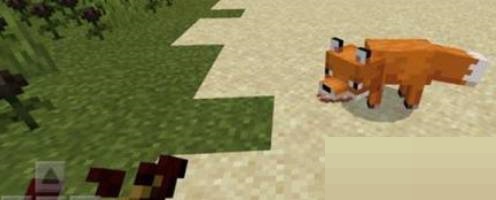我的世界狐狸有什么用?我的世界狐狸作用介绍