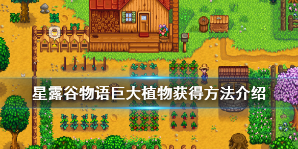 星露谷物语巨大植物怎么获得 星露谷物语巨大植物获得方法介绍