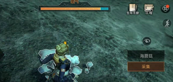 明日之后海蘑菇位置介绍