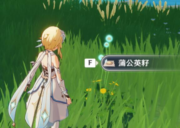 原神新手风魔龙如何速刷 低战力风魔龙打法详解