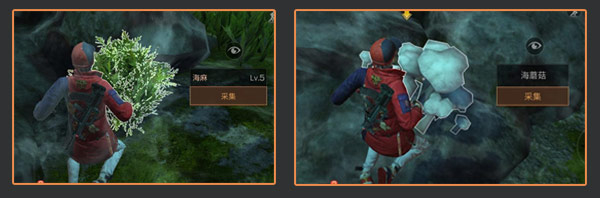 明日之后海麻获取与海岛寻宝分享