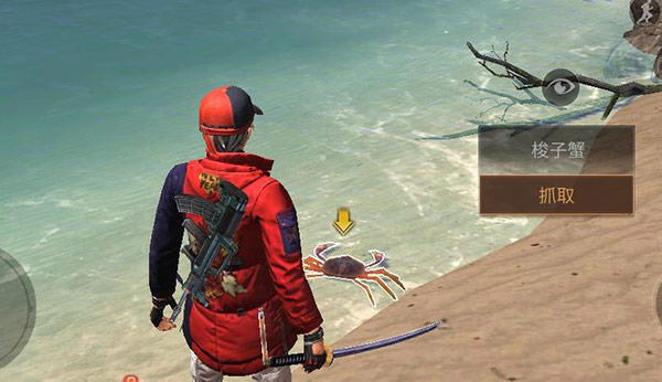 明日之后海麻获取与海岛寻宝分享