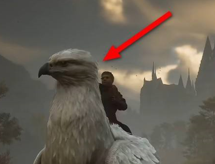 霍格沃茨之遗怎样解锁坐骑？霍格沃茨之遗解锁坐骑的详细攻略