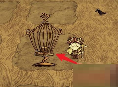 饥荒怎么获得稳定的种子?饥荒稳定的种子获得攻略