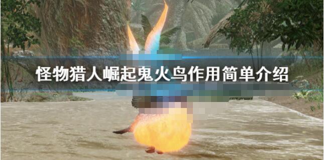 怪物猎人崛起鬼火鸟怎么用 怪物猎人崛起鬼火鸟作用简单介绍