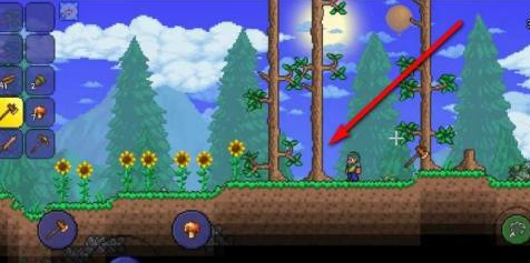 泰拉瑞亚如何砍树？泰拉瑞亚中砍树的具体操作