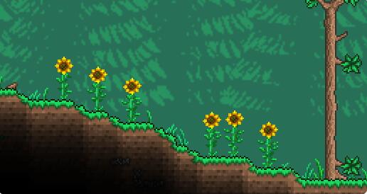 泰拉瑞亚向日葵有什么用?泰拉瑞亚向日葵功能介绍