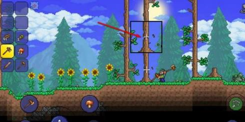 泰拉瑞亚如何砍树？泰拉瑞亚中砍树的具体操作