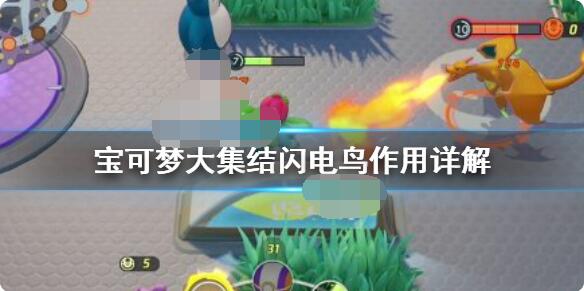 宝可梦大集结闪电鸟有什么用？宝可梦大集结闪电鸟打法介绍