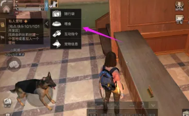 明日之后怎样喂食狗狗？明日之后喂食狗狗的详细攻略