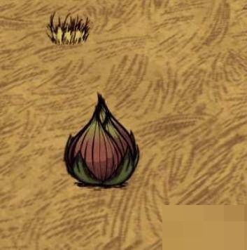 今天分享饥荒食人花有什么用。 