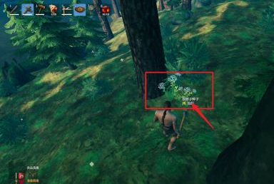 英灵神殿怎么种胡萝卜 英灵神殿种胡萝卜的攻略