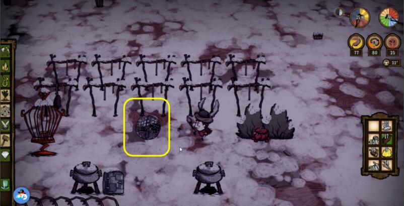 饥荒如何捕捉鸟 饥荒捕鸟技巧