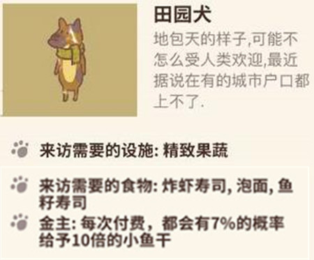 动物餐厅田园犬来访条件详解