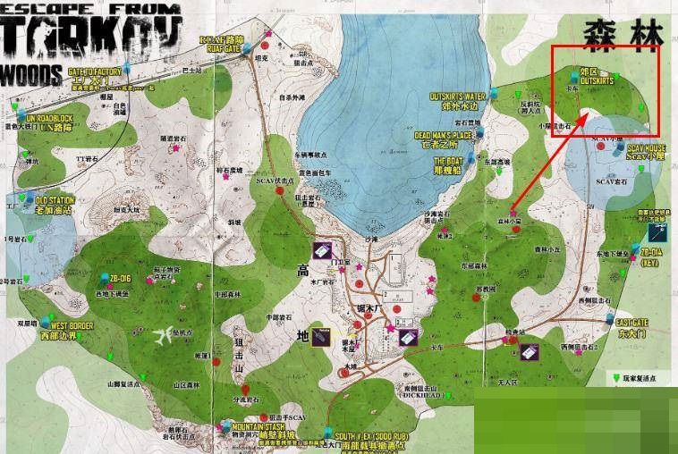 逃离塔科夫森林郊区撤离点在哪里?逃离塔科夫森林郊区撤离点位置介绍