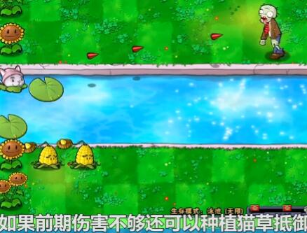 植物大战僵尸如何建造玉米加农炮 植物大战僵尸种植玉米加农炮操作步骤