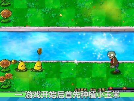 分享植物大战僵尸如何建造玉米加农炮。 