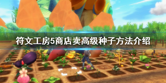 符文工房5商店怎么卖高级种子？符文工房5商店卖高级种子方法分享