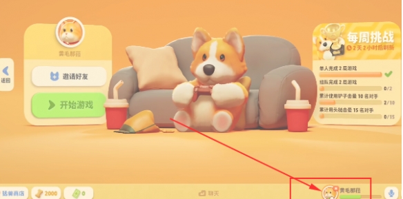 动物派对玩家怎么修改名字?动物派对玩家修改名字的方法