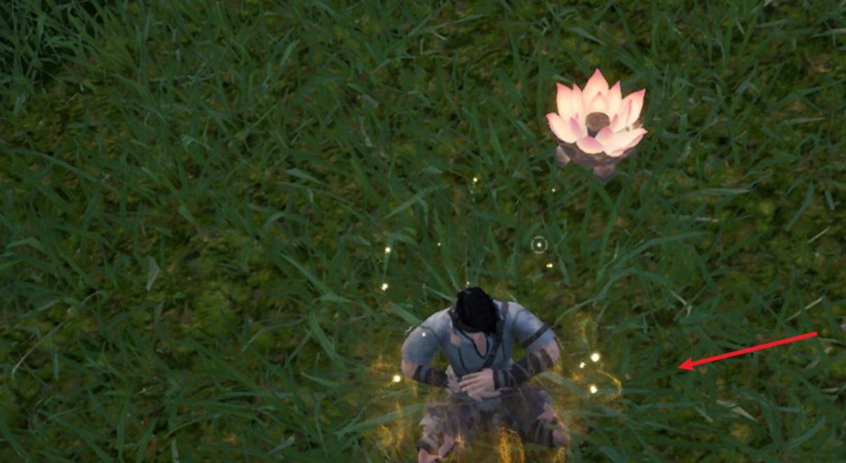 太荒初境怎么打坐?太荒初境打坐攻略