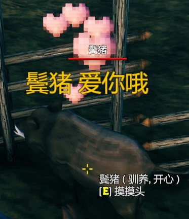 英灵神殿猪能繁殖吗？英灵神殿猪驯化及喂养方法介绍