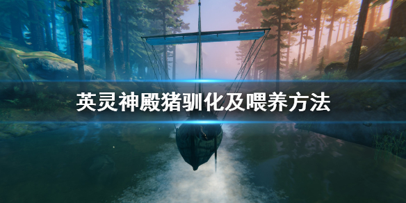 英灵神殿猪能繁殖吗？英灵神殿猪驯化及喂养方法介绍