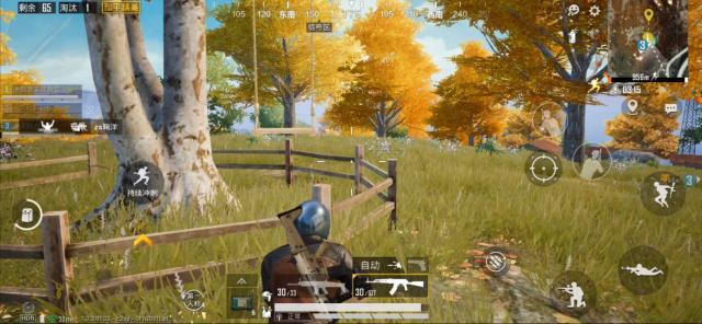 和平精英中野餐点玩手机与枫叶林荡秋千详细讲解