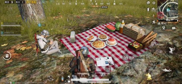 和平精英中野餐点玩手机与枫叶林荡秋千详细讲解