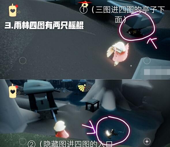 光遇9月24日每日任务怎么做 光遇每日务完成攻略