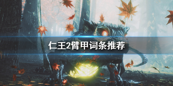 仁王2臂甲词条怎么选 仁王2臂甲词条推荐