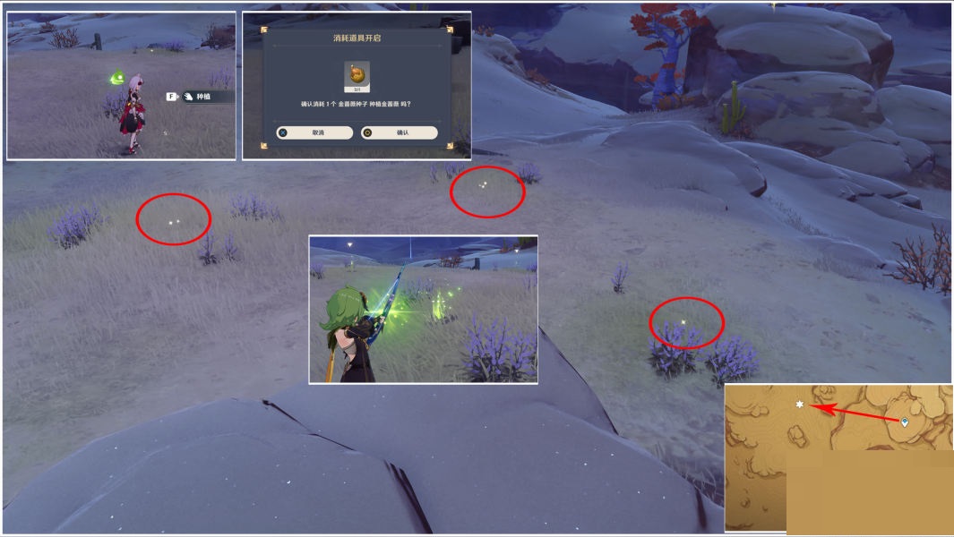 原神种植金蔷薇隐藏任务怎么完成？原神种植金蔷薇隐藏任务完成攻略
