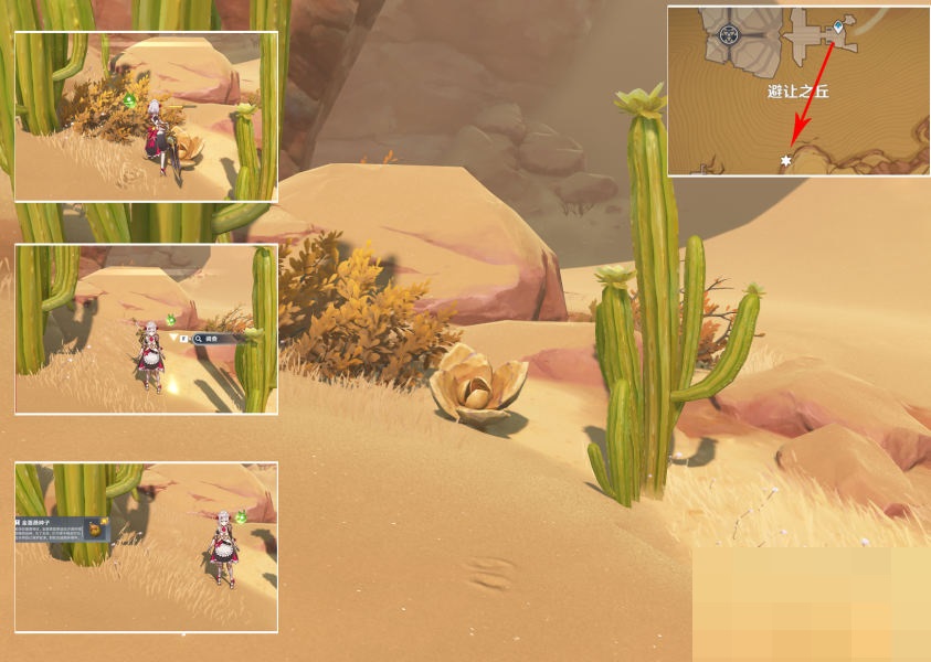 原神种植金蔷薇隐藏任务怎么完成？原神种植金蔷薇隐藏任务完成攻略