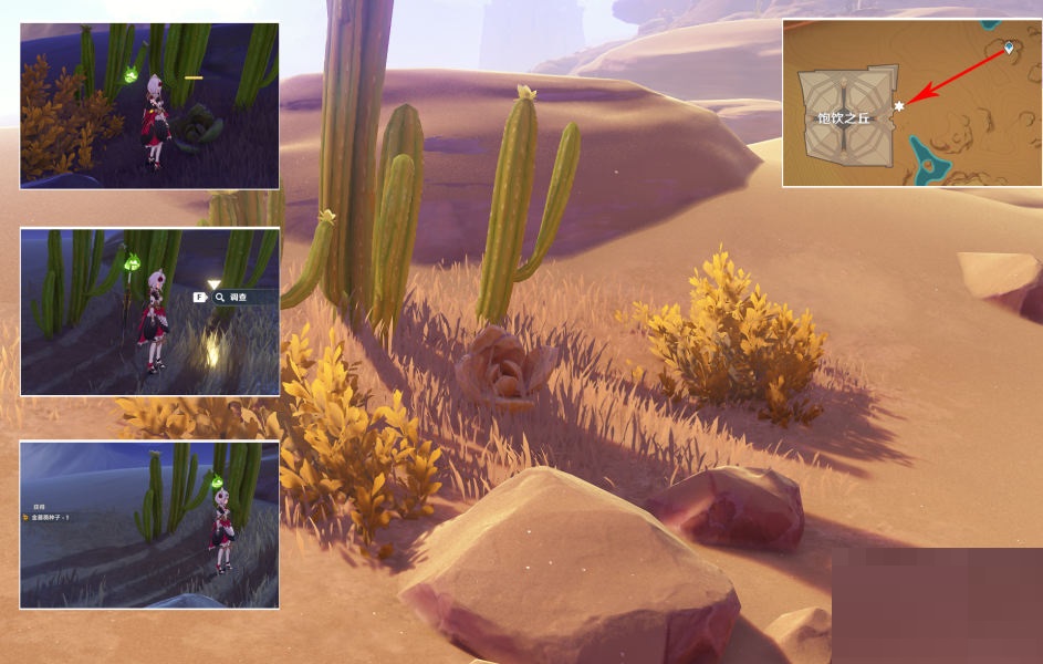 原神种植金蔷薇隐藏任务怎么完成？原神种植金蔷薇隐藏任务完成攻略