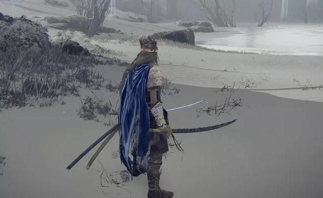 艾尔登法环武器单持和双持有什么不同？艾尔登法环武器单持和双持区别介绍