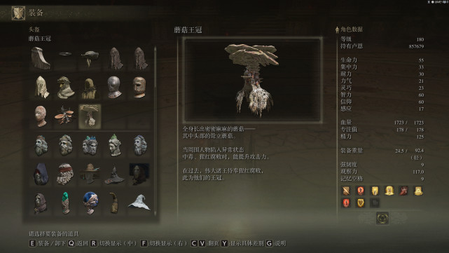 艾尔登法环有哪些特殊效果装备？艾尔登法环特殊效果装备一览