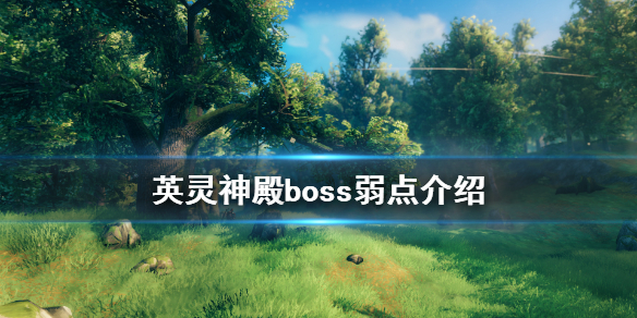 英灵神殿boss弱点是什么 英灵神殿boss弱点介绍