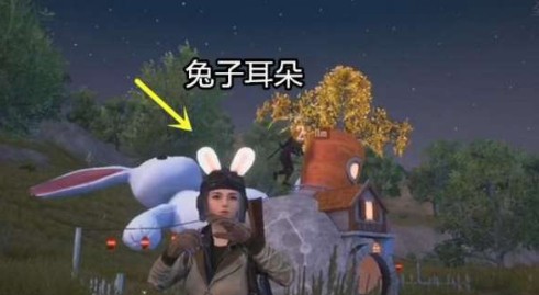 和平精英胡萝卜小屋打开详细攻略