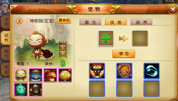 天天龙族宠物系统攻略