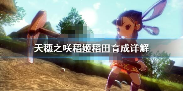 小编教你天穗之咲稻姬水稻怎么种。 