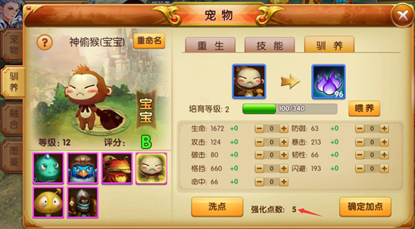 天天龙族宠物系统攻略