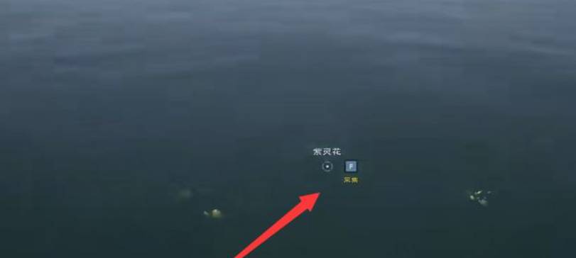 太荒初境紫灵花在哪里?太荒初境紫灵花位置介绍