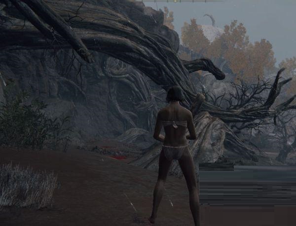 艾尔登法环1级怎么无伤刷魂？艾尔登法环1级无伤刷魂攻略