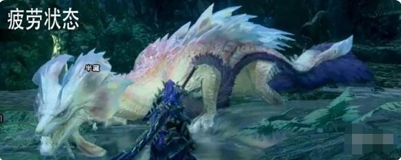 怪物猎人崛起泡狐龙状态有哪些？怪物猎人崛起泡狐龙状态一览