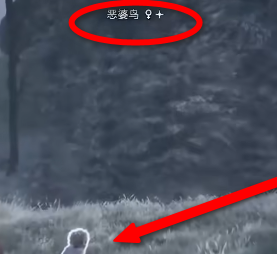 霍格沃茨之遗恶婆鸟在哪？霍格沃茨之遗找到恶婆鸟位置的方法