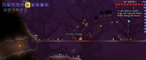 泰拉瑞亚灾厄怎么玩?泰拉瑞亚灾厄玩法攻略