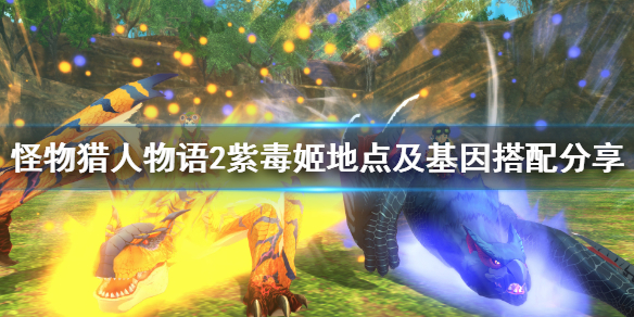 怪物猎人物语2紫毒姬基因怎么搭配？怪物猎人物语2破灭之翼紫毒姬基因搭配推荐
